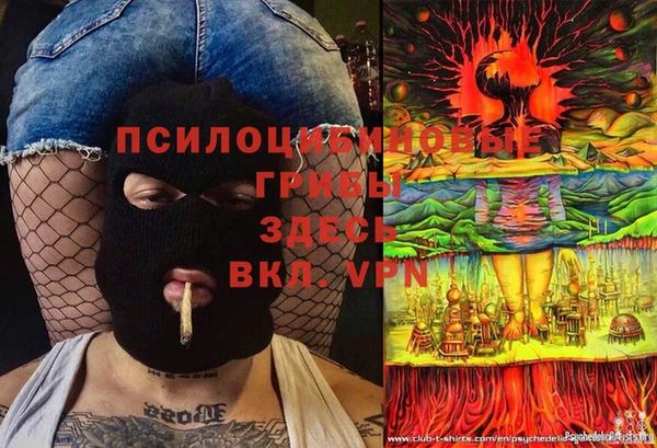 герыч Дмитриев