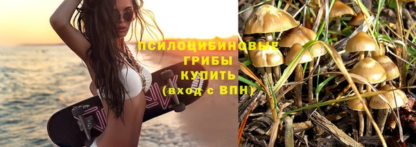 ГАЛЛЮЦИНОГЕННЫЕ ГРИБЫ Дмитров