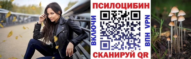 Купить где  Инта  Галлюциногенные грибы мицелий 