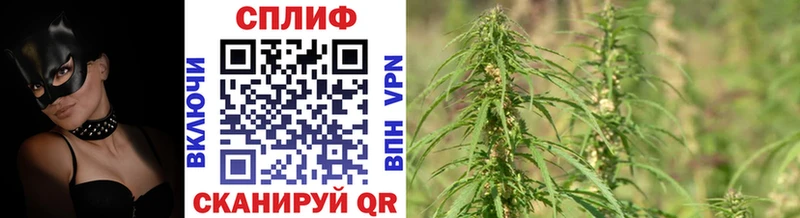 Канабис ГИДРОПОН  Купить  Инта 